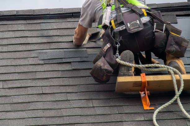 Best Roof Gutter Cleaning  in Limestone, IL