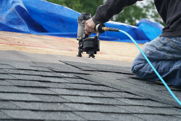 Best Metal Roofing Contractor  in Limestone, IL
